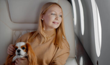 Noleggio Jet Privato, Noleggio-jet-privato-volare-con-animali-domestici, Jet-privato-milano